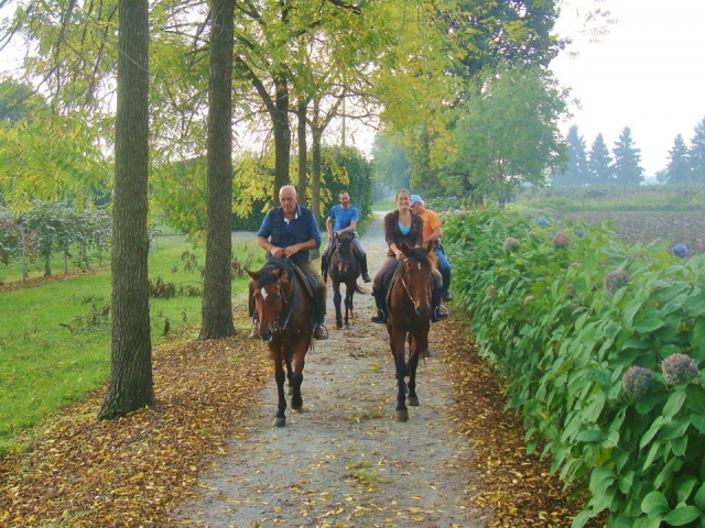  Paseo a caballo en compañía 