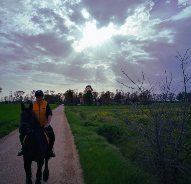  De camino 
