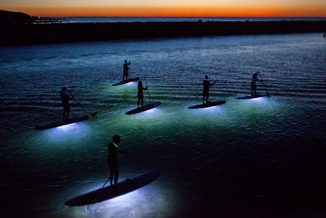 Paddle Surf de noche en Pollica