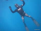 Buceo libre en Gallipoli 2 horas 30