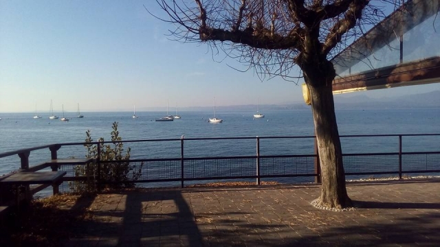 Los barcos en el lago 
