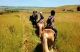 Cabalgatas Basilicata