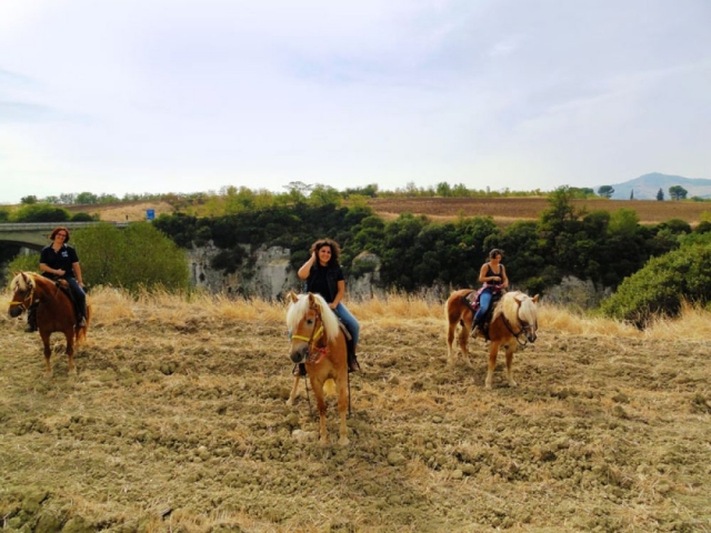  Excursión a caballo al cañón