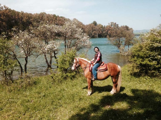 El Lago de Plamarra 