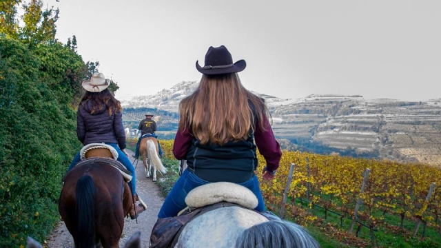 A caballo duranle un hermoso día de otoño 