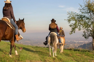 Tour experto a caballo en Monteforle d'Alpone 8 horas