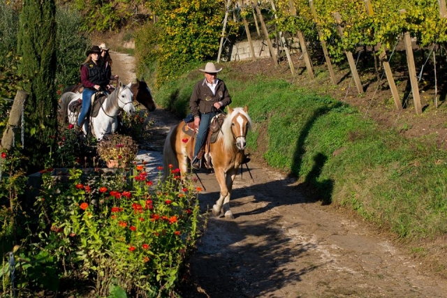  Paseo por la naturaleza de Verona