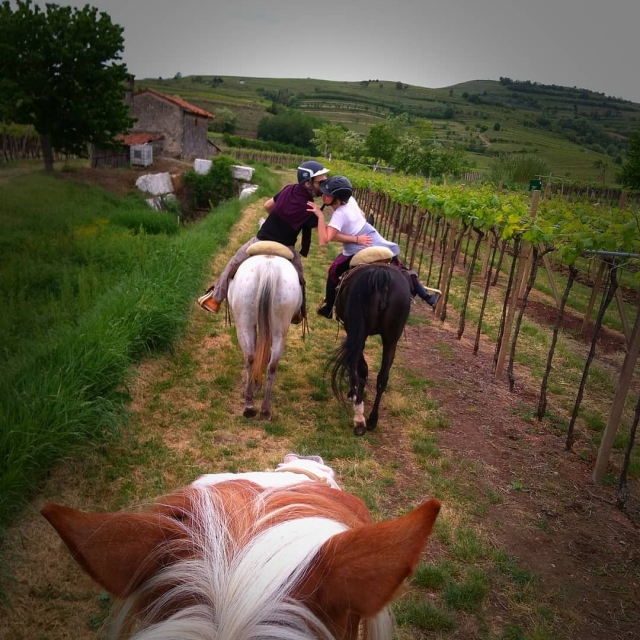  en el bosque a caballo 