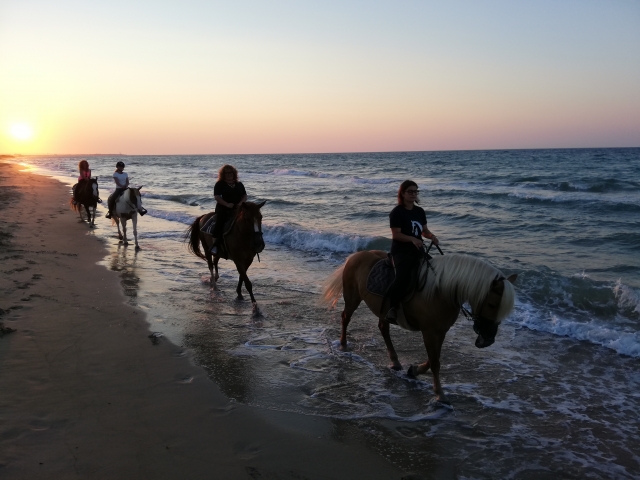  Excursión a caballo en Fasano