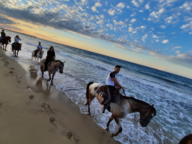 A caballo por la orilla del mar 