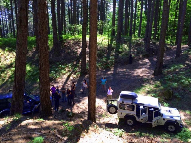 Excursión al bosque