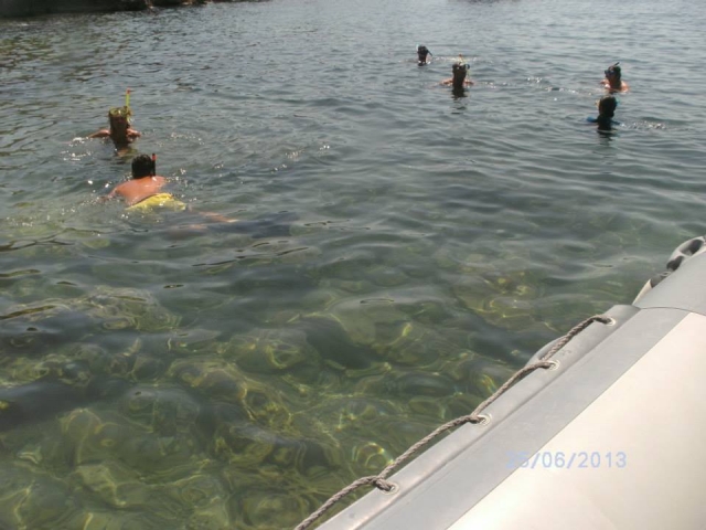 Un buen chapuzón en el agua 