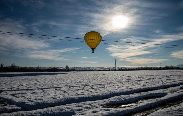  volamos todo el año