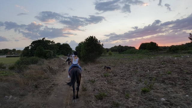 Paseo por el campo al atardecer 