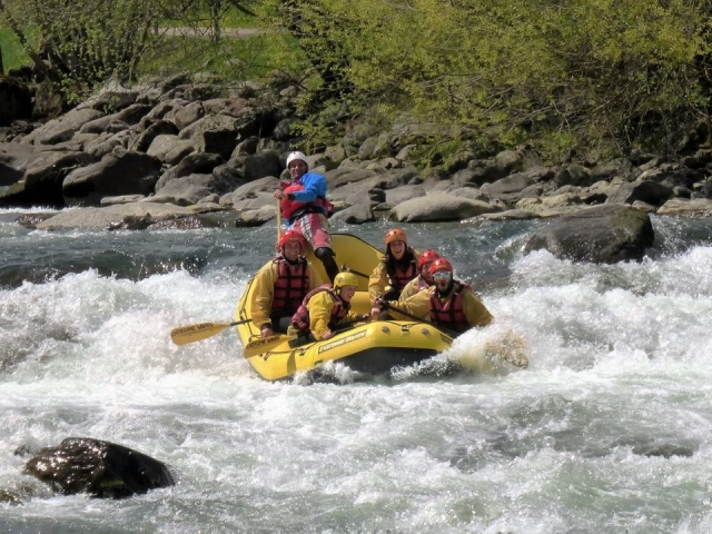 Frenle a la corrienle 