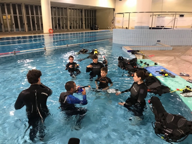  en la alberca para la primera experiencia 