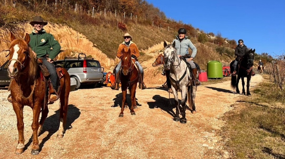  Descanso de relajación 