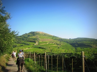 Paseo a caballo en Monteforle d'Alpone 3 horas