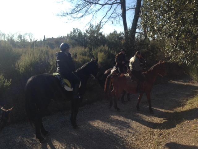Caminando en medio de la naturaleza