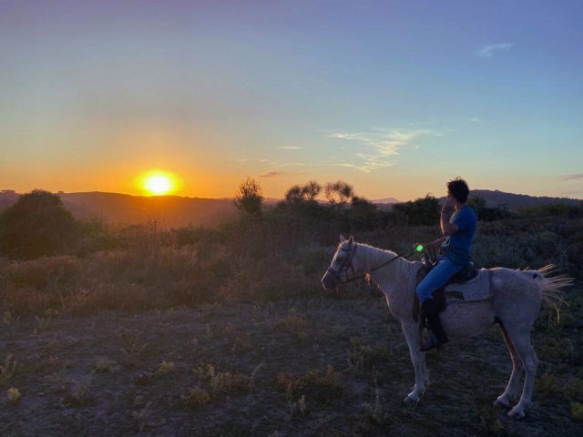 Paseo a caballo por el bosque del Sacrofano 1 hora