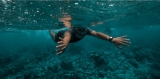 Tour de snorkel de 1 hora en Golfo Paradiso