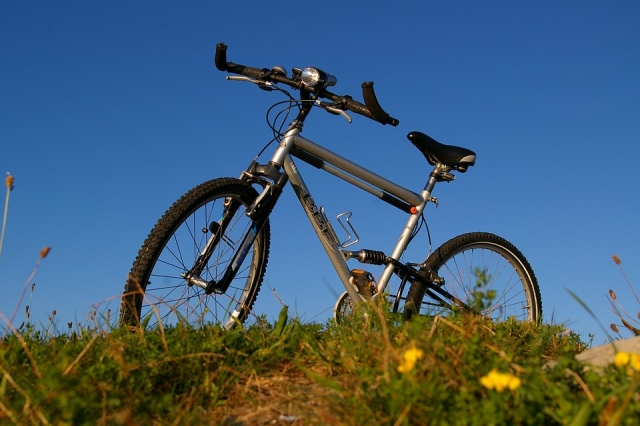 Al aire libre 