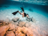 Tour de snorkel de 4 horas en el golfo de Génova