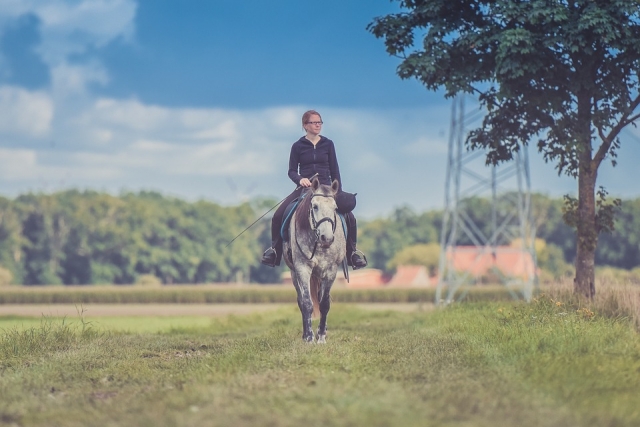  Pbaños a caballo 