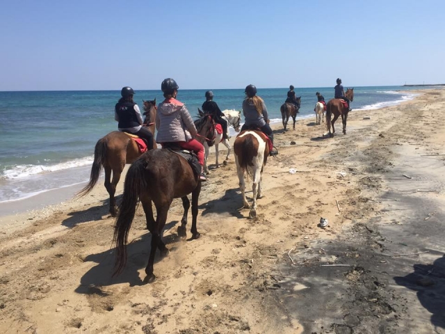  Todos a la playa