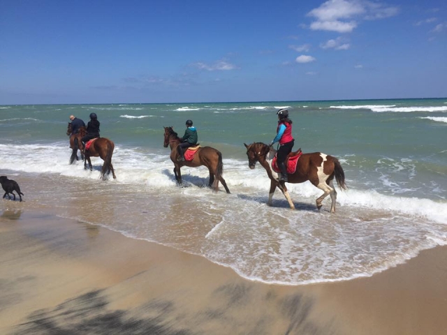 En la playa a caballo 