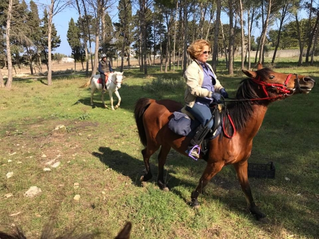  Pbaños a caballo en el matorral mediterráneo 