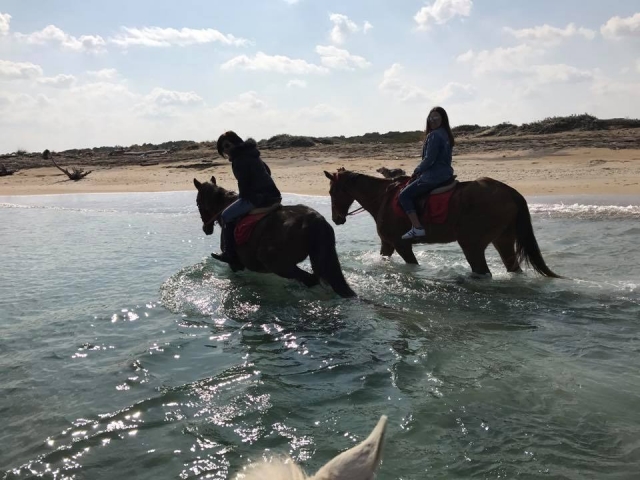  Todo en el agua 