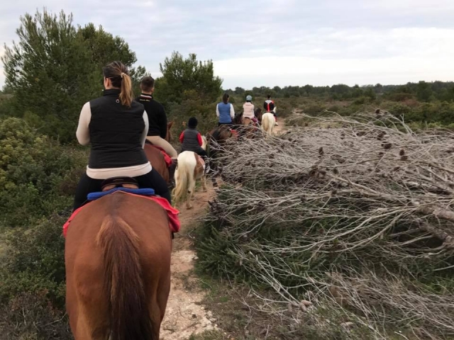  A caballo en la naturaleza 