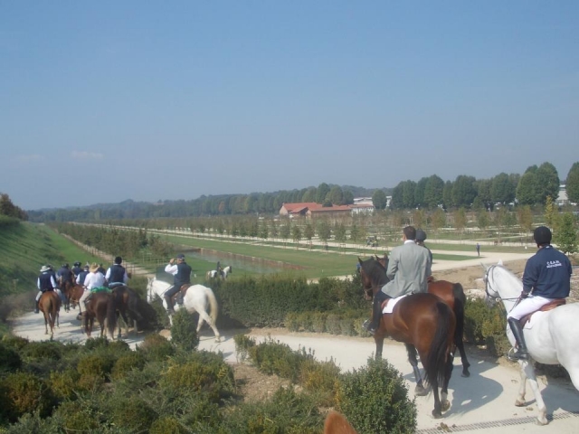  Pbaños a caballo en el verde