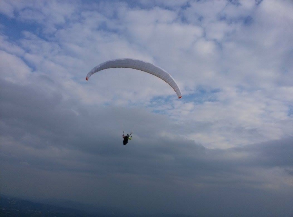 Volando alto Volando alto