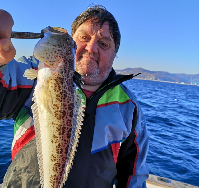  Pesca rentable