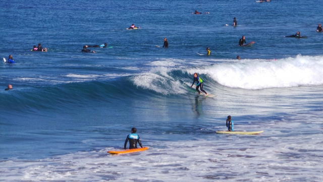  Clases de surf 