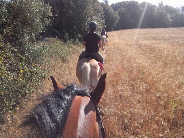  Cabalgando por el campo de Lecce 