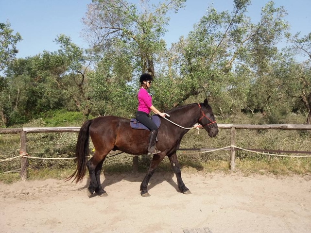 ¿Está listo para un agradable paseo? 