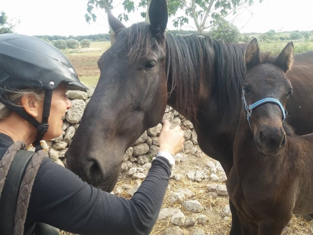  Acercándonos a los caballos 