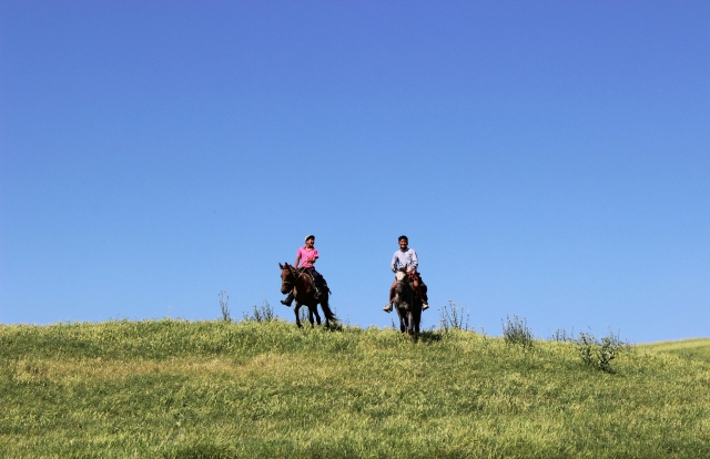 Paseo a caballo con almuerzo en Monte Murillo 1 hora