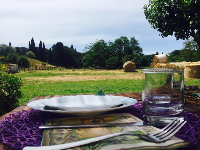  Un exquisito almuerzo inmerso en la naturaleza 