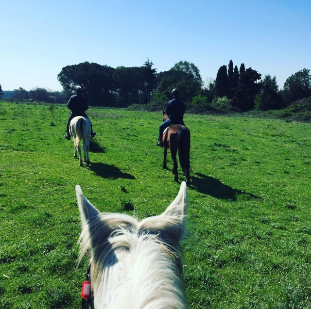  Inmerso en el verdor 