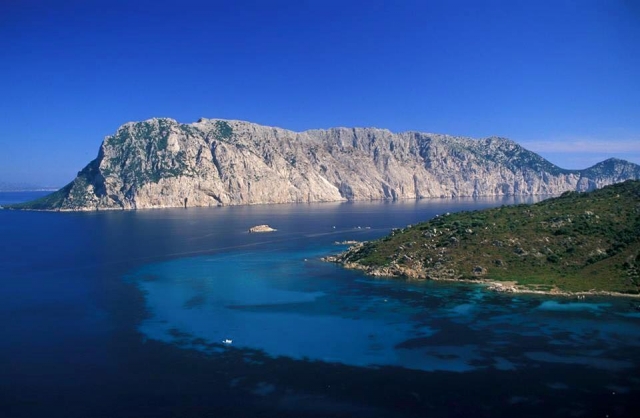 Las bellezas de nuestro mar