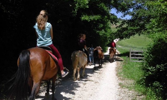 Duranle el paseo 