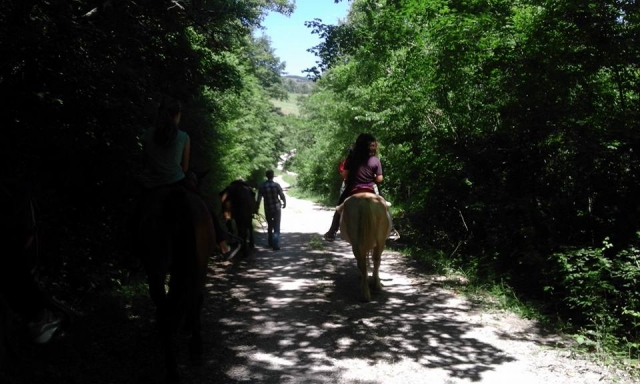 A la sombra 