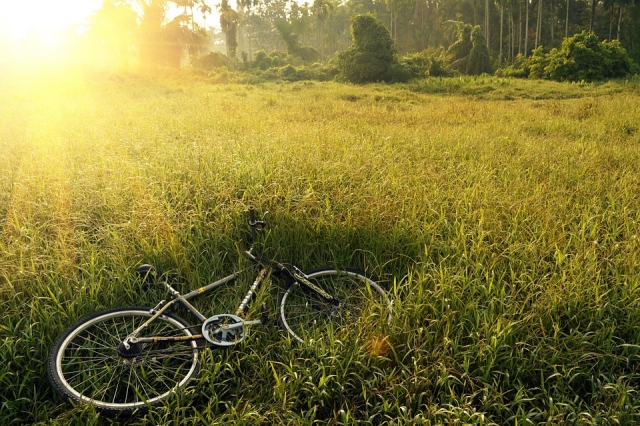  Paseo en bicicleta de cerro 