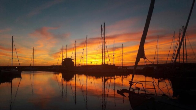 Cena romántica en el puerto 