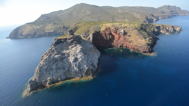 Tour a la isla de Elba y Capraia