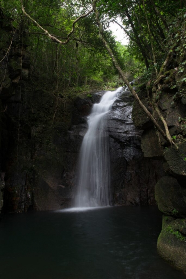  cascadas en medio del verdor